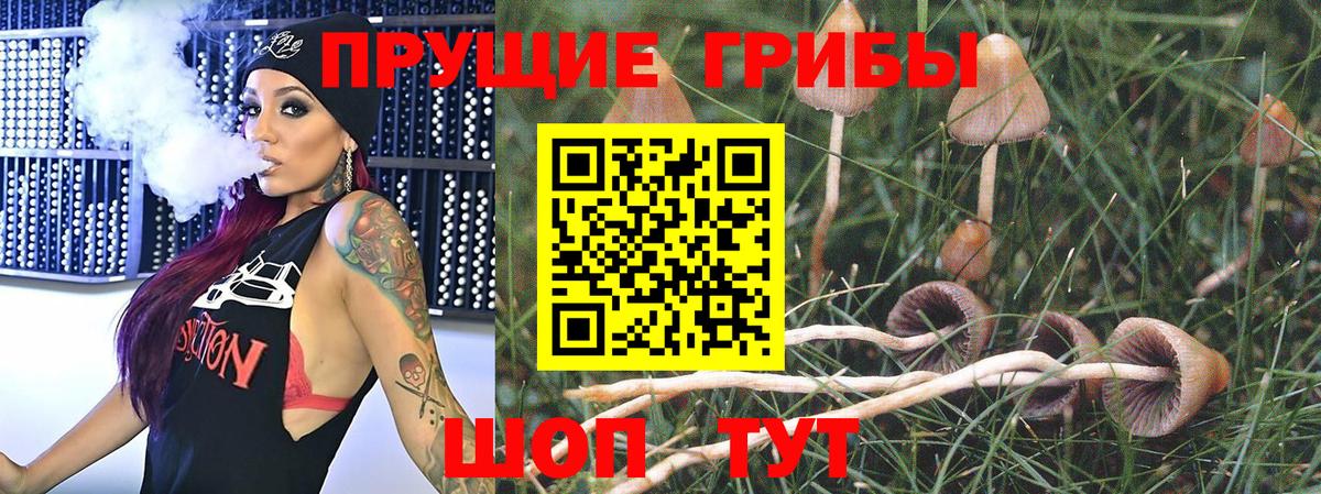 Коломна  Псилоцибиновые грибы MAGIC MUSHROOMS  Вход с VPN 