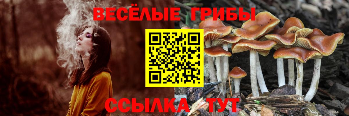 Галлюциногенные грибы MAGIC MUSHROOMS Коломна